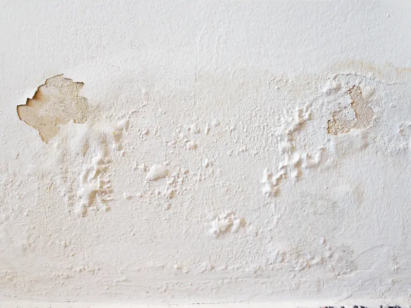 Moisture mapping services